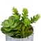 6.5" Green Succulent Arrangement in Faux Marble Pot